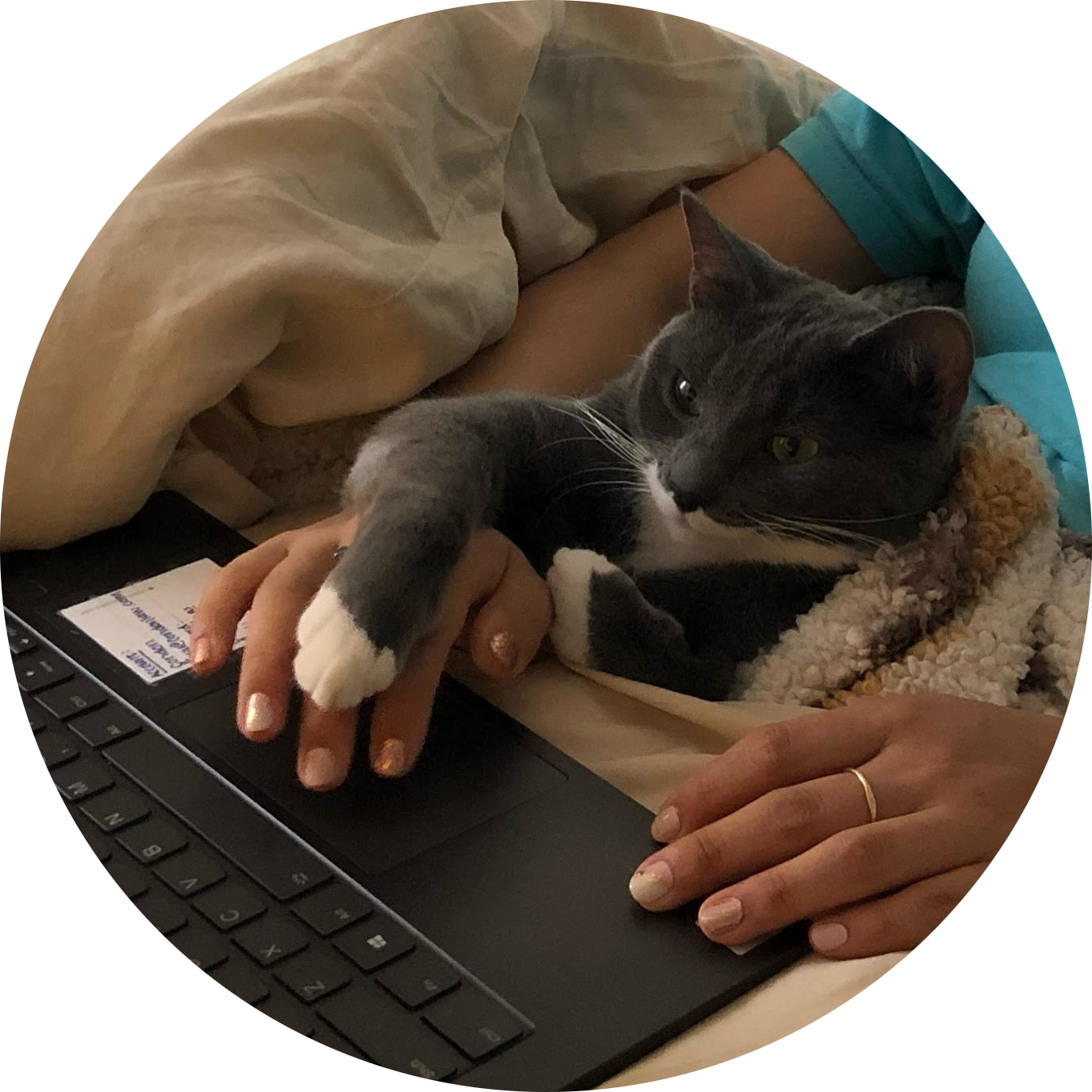 Photo of Dr. Shmunky